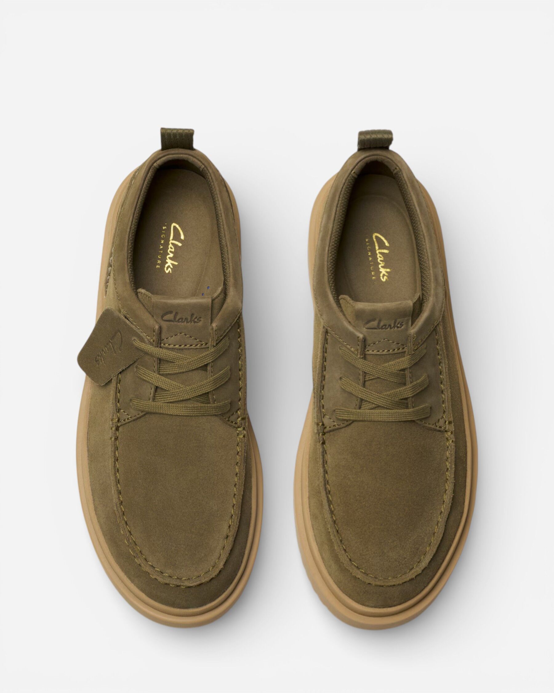 Resim Polden Moc Olive Canvas