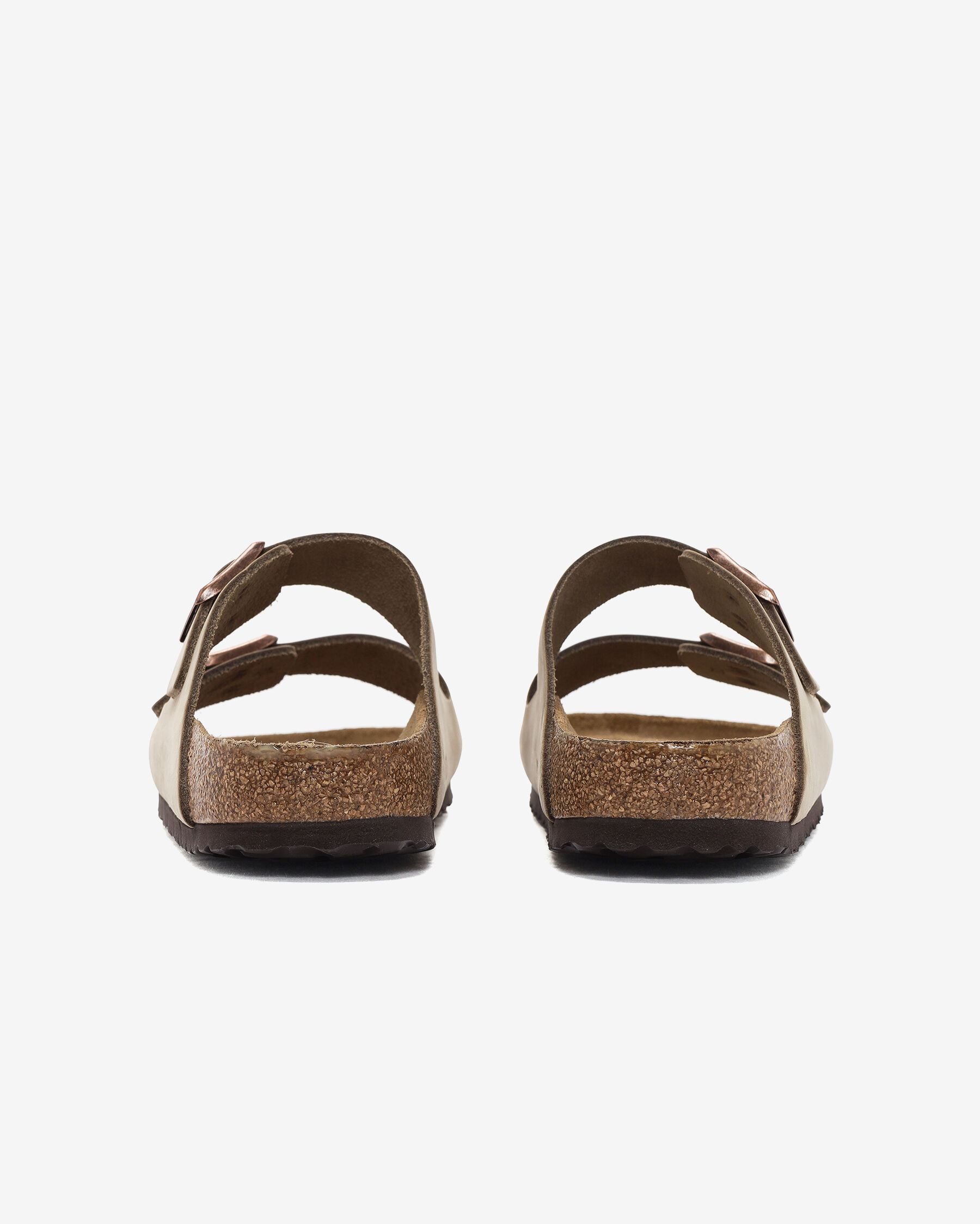 Resim Arizona Sfb Leoi