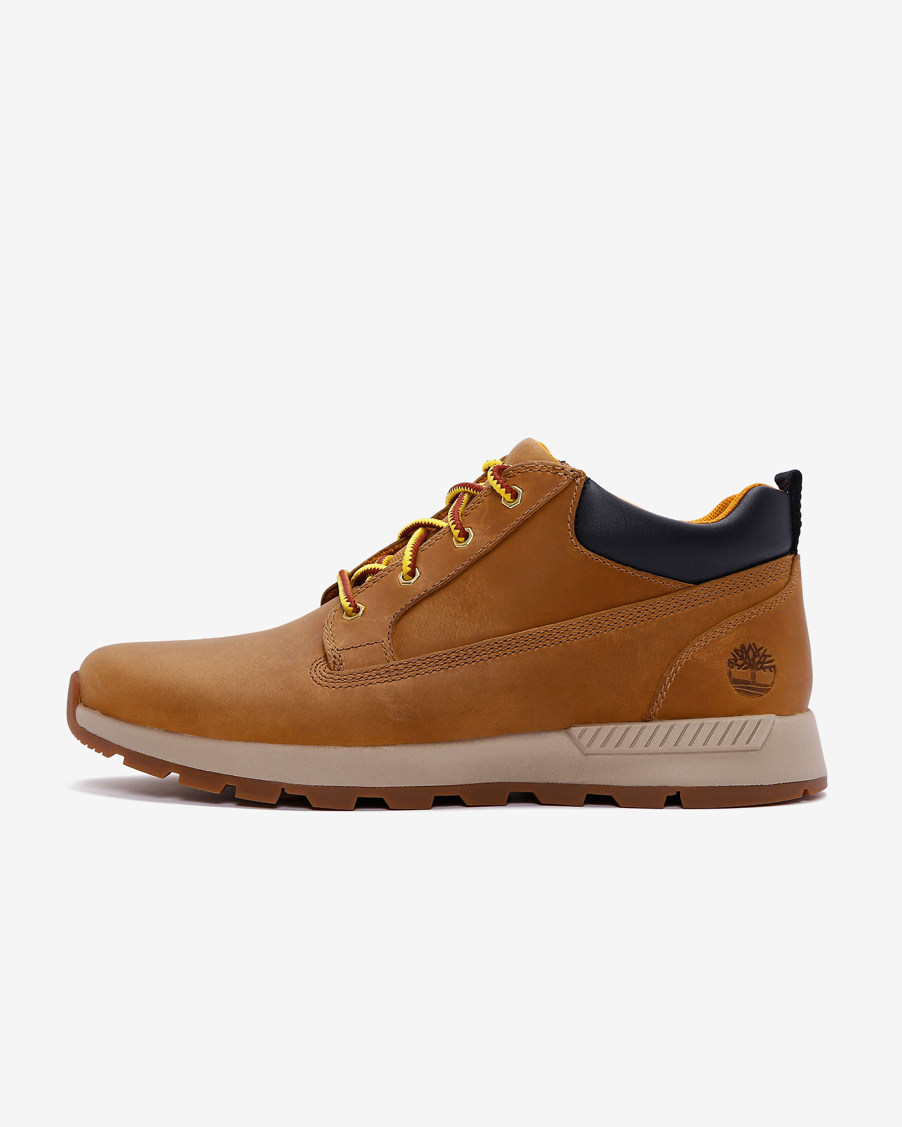 Timberland Killington Trekker Low Lace Up