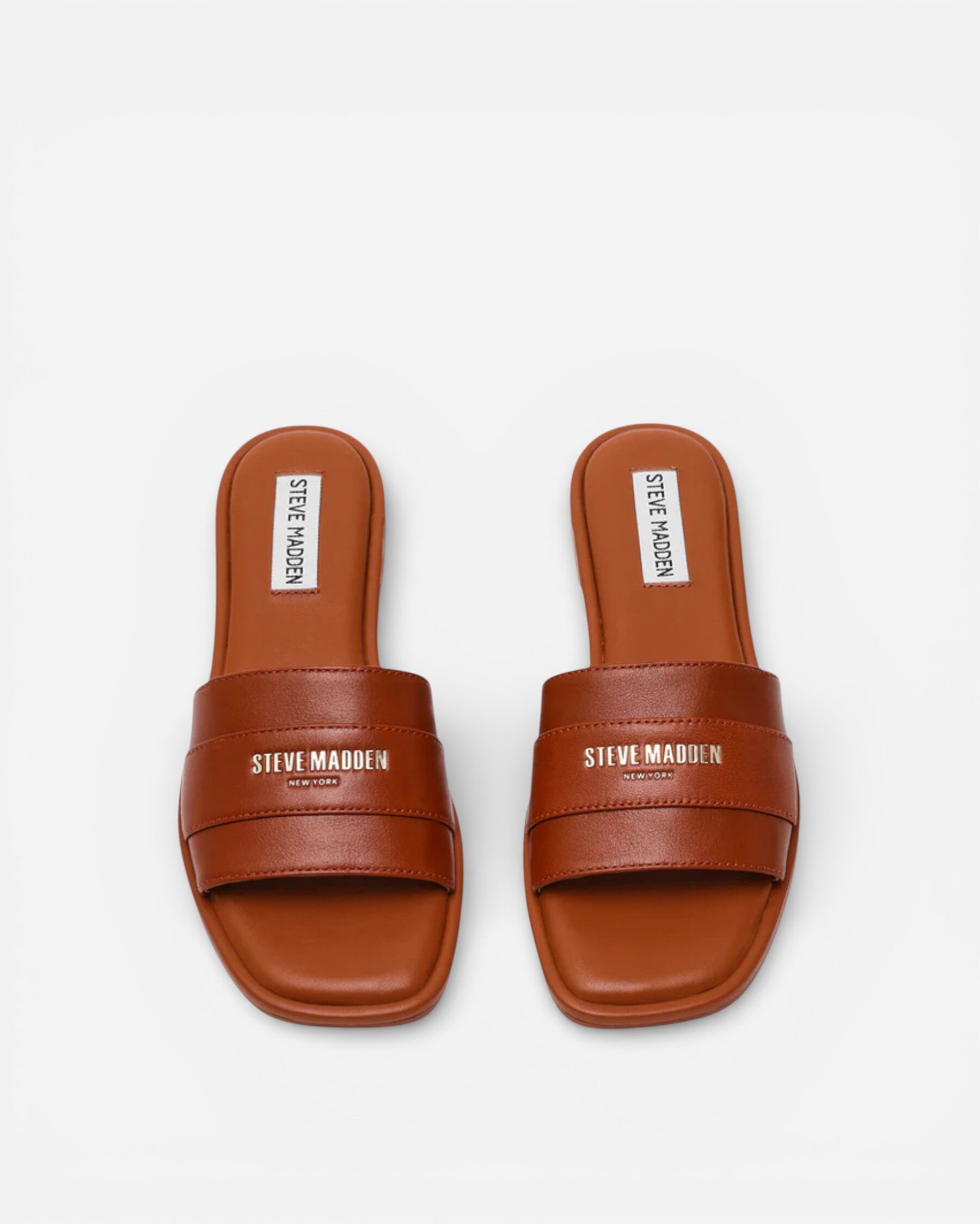 Resim Ashten Cognac Lea