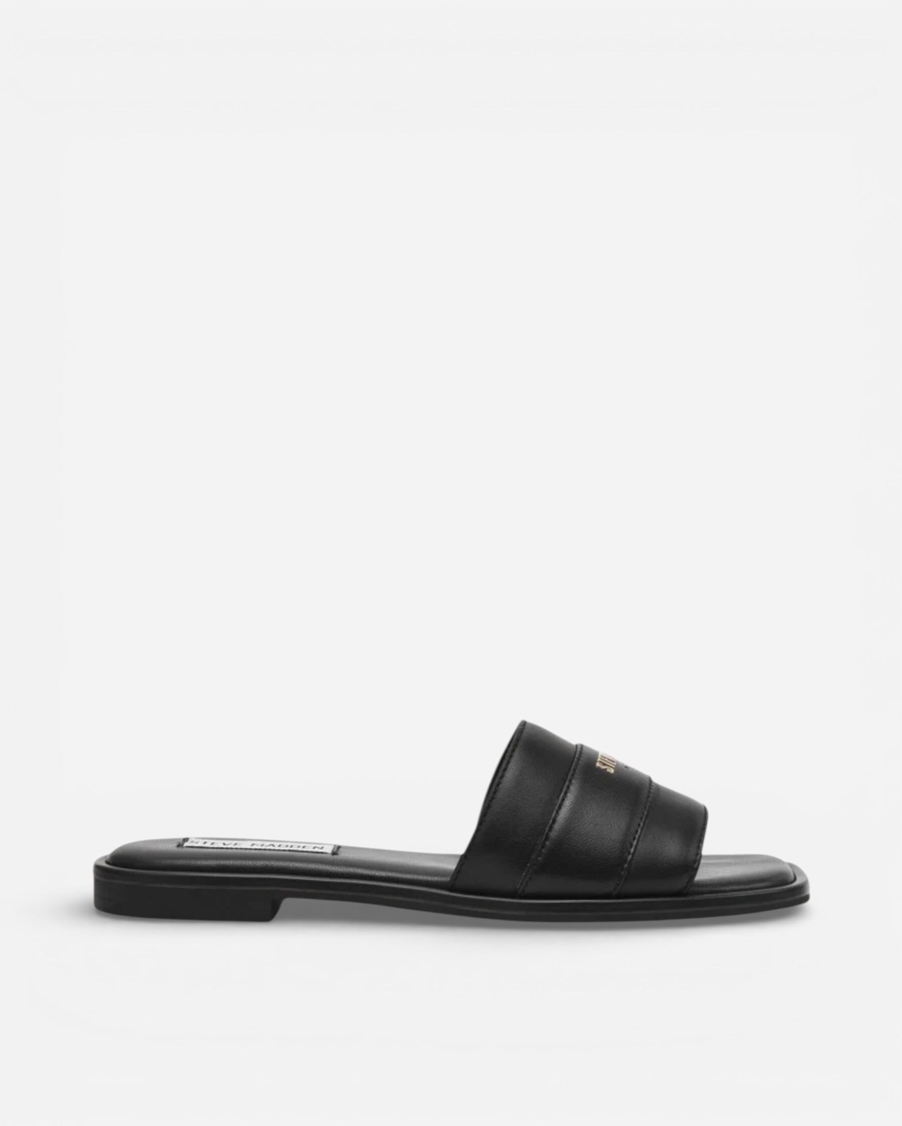 Resim Ashten Black Leat
