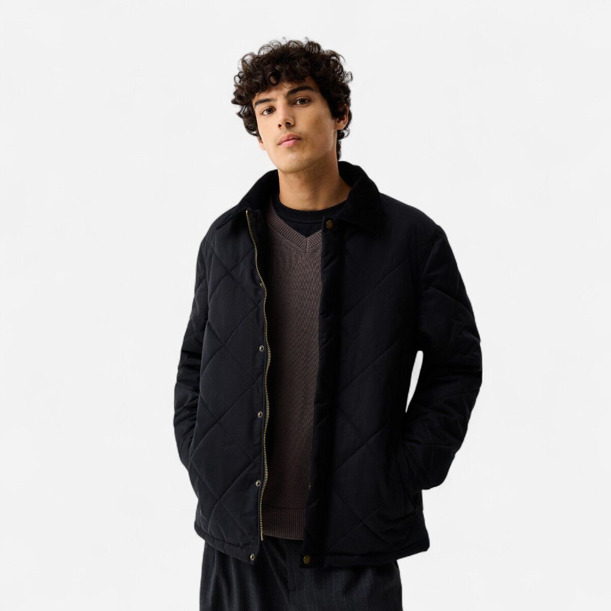 Resim Ardwell Quilted Jacket