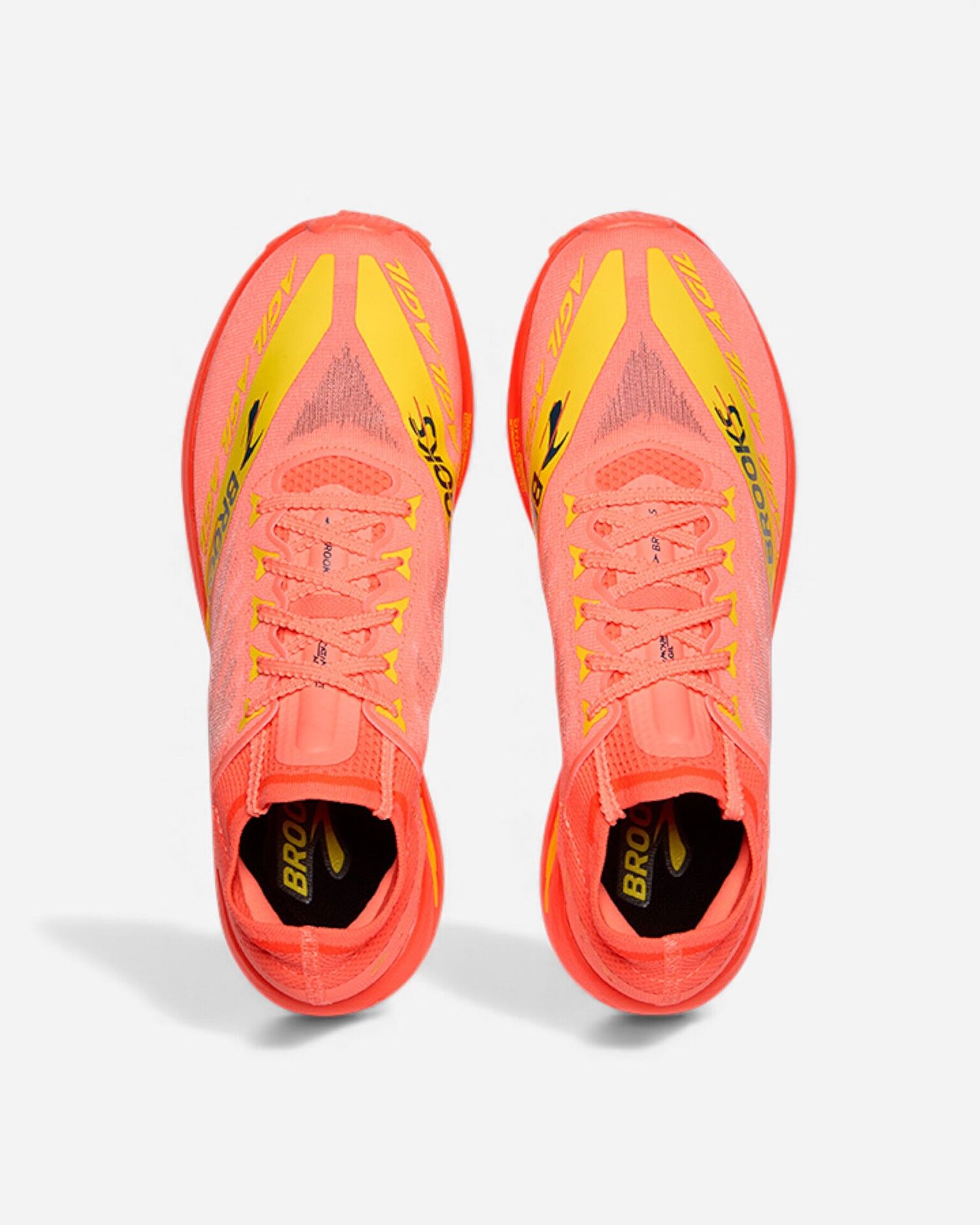 Resim Catamount Agil