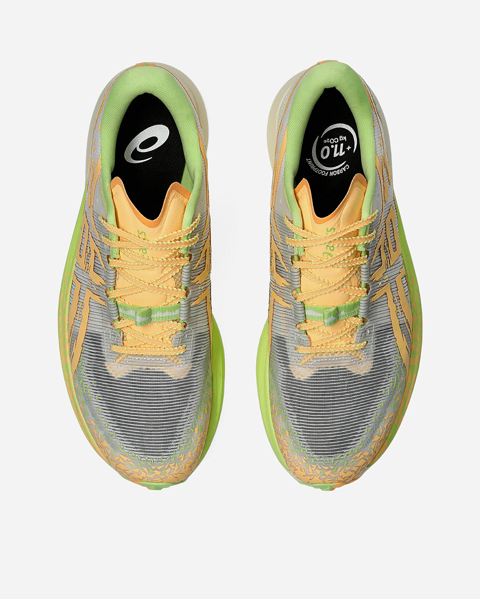 Resim Metafuji Trail