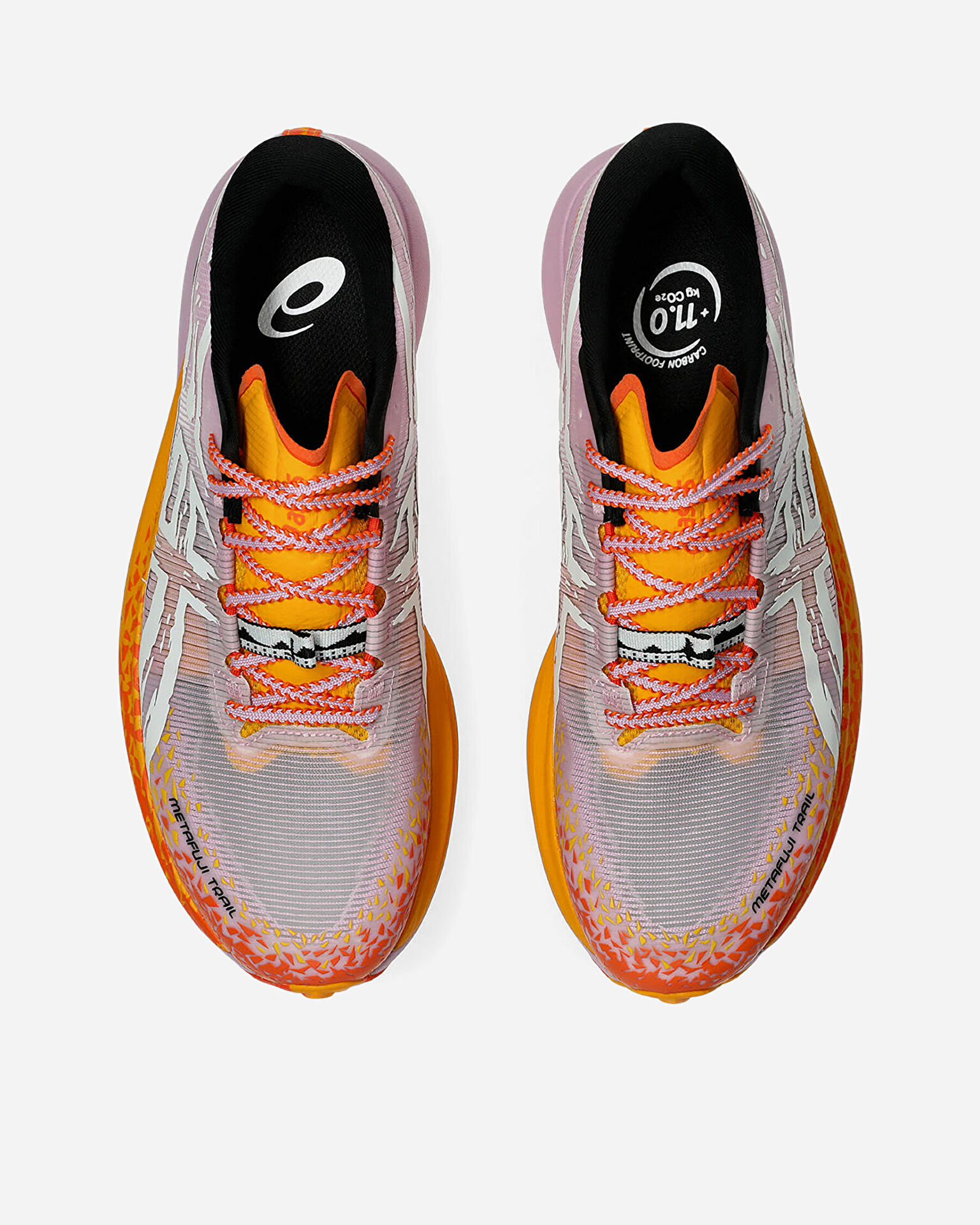 Resim Metafuji Trail