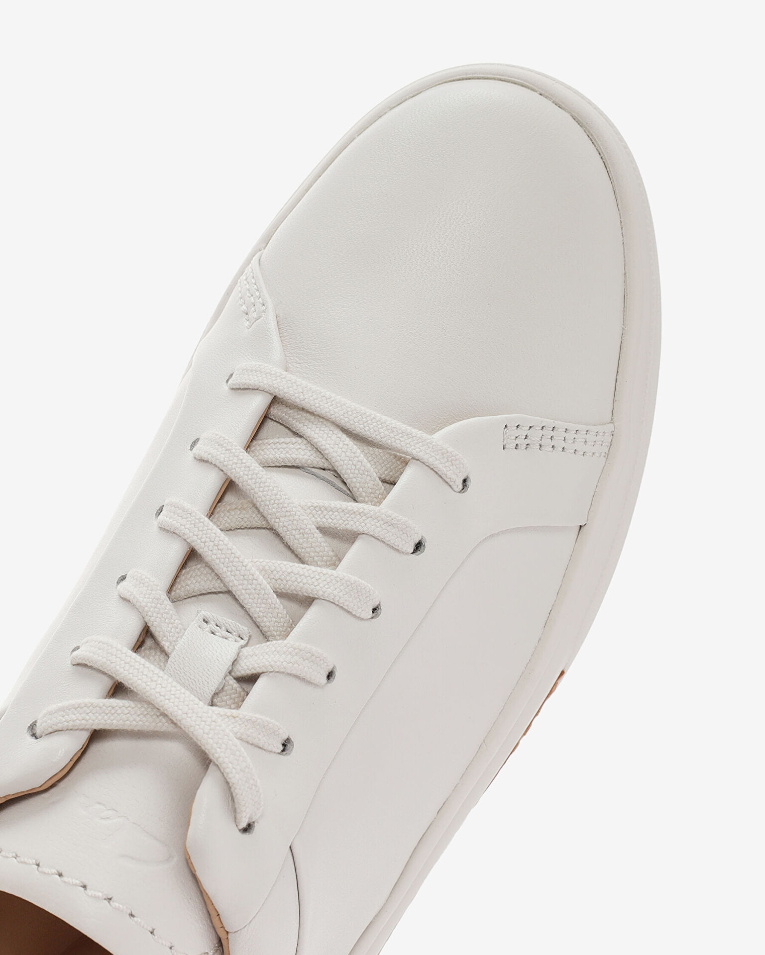 Resim Hollyhock Walk